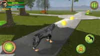 Rottweiler Dog Life Simulator Screen Shot 6