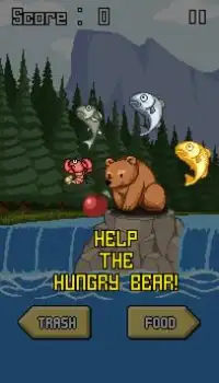 Hungry Bear in the Forest Screen Shot 1