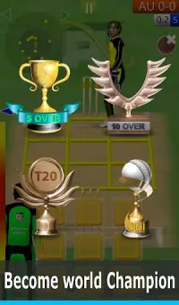 Smashing Cricket: cricket game Screen Shot 12