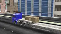 Truck Simulator Driving Screen Shot 3