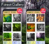 Forest Color By Number-Landscape Pixel Art Screen Shot 3