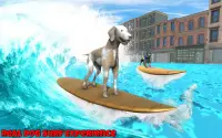 Dog Surfing Championship California 2019 Screen Shot 2