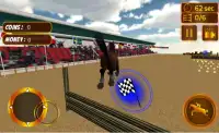 Horse Simulator 3D Screen Shot 2