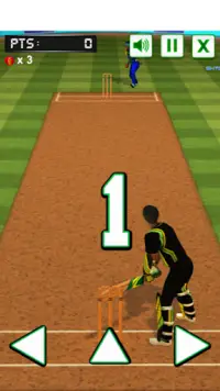 Cricket challenge Game 2020 Screen Shot 5