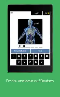 Errate Anatomie auf Deutsch Screen Shot 5