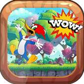 Adventure Woody World Run woodpecker