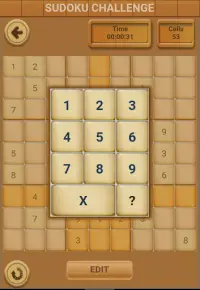 Sudoku Challenge Screen Shot 2