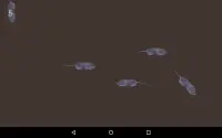 Mice Catch - Cat Game Screen Shot 10