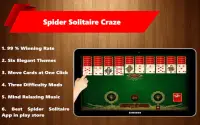Spider Solitaire Craze Screen Shot 4
