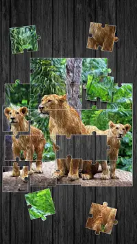 Jungle Permainan Puzzle Screen Shot 1