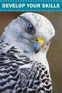 Amazing Birds - Jigsaw Puzzles Screen Shot 2