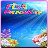Fish Catch Paradise