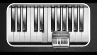 Perfcet Piano Screen Shot 1