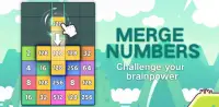 NumDrop: Fun & Free 2048 Block Number Puzzle Games Screen Shot 0