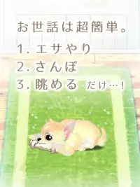 癒しの子犬育成ゲーム〜チワワ編〜 Screen Shot 11