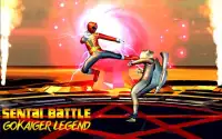 Sentai Battle : Gokaiger Henshin Legend Wars Hero Screen Shot 0