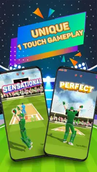 Mr. Keeper - WicketKeeper Fielding Game Screen Shot 2