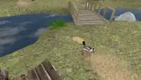 Duck Pond VR Screen Shot 1