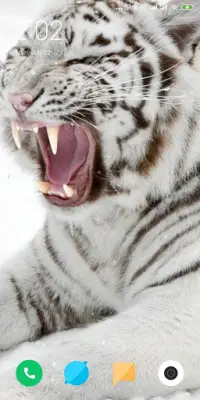 Tiger Live Wallpaper Screen Shot 1