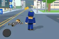 Hoekig Cop Craft Running Thief Screen Shot 4