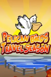 Pelican Birds Travel Season Screen Shot 0