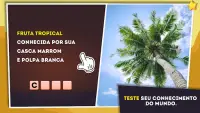 Palavras cruzadas em portugues Screen Shot 7