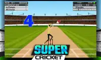 Super Cricket Championship Screen Shot 4