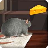 Mouse in House Drive 3D Free