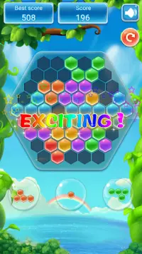 Hexagon Block Puzzle - Hex Match & Magic Tiles Screen Shot 3