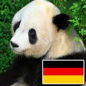 Animals in german