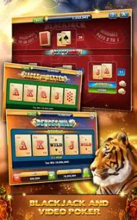 Cats Dogs Slots&Slot machines Screen Shot 9