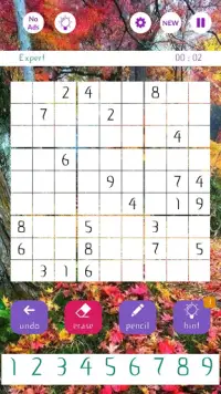 Art of Sudoku Screen Shot 3