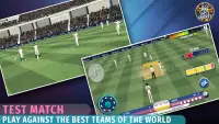 Epic Cricket - Big League Game Screen Shot 1