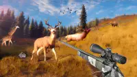 Tiere zu Jagen - Jäger Spiele Screen Shot 3