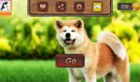 Akita Dog Simulator Screen Shot 8