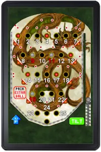 Bingo Pinball Dragon Screen Shot 6