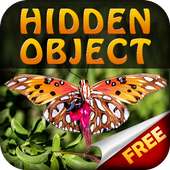 Hidden Object - Butterfly