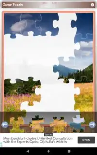 Free Pro Jigsaw Puzzles Screen Shot 9