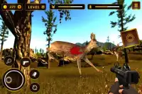 Deer hunter shooter Screen Shot 4