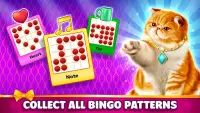 Pet Bingo: Bingo Game 2022 Screen Shot 4