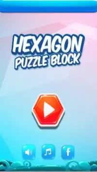 Hexagon Puzzle Block Screen Shot 0