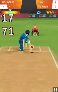 Cricket Star Pro Screen Shot 7