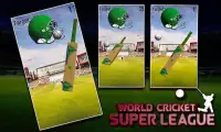 World Cricket Super League Screen Shot 5