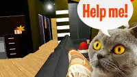 Cat Simulator 2 Screen Shot 0