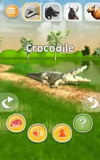 Tier Simulator 3D - Krokodil usw. Screen Shot 10