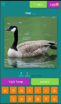 חידון הציפורים Screen Shot 0