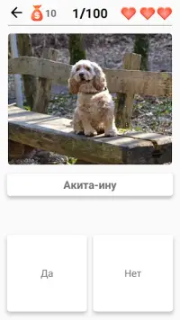 Породы собак – Фото-тест про всех собак мира Screen Shot 6