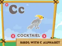 C Alphabet Learning Jogos de Crianças Screen Shot 7