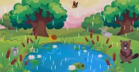 Leśna przygoda (gra edukacyjna dla dzieci) Screen Shot 1
