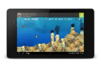 Wonder Fish Permainan Free HD Screen Shot 13